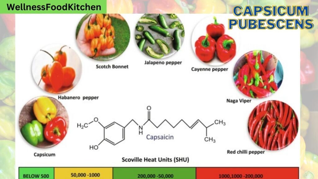 capsicum-pubescens